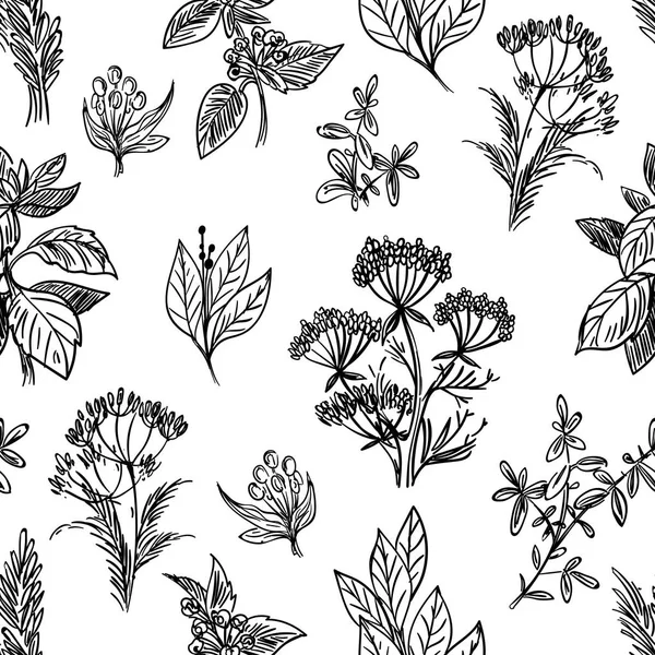 Kräuter und Blumen nahtlos skizzieren — Stockvektor