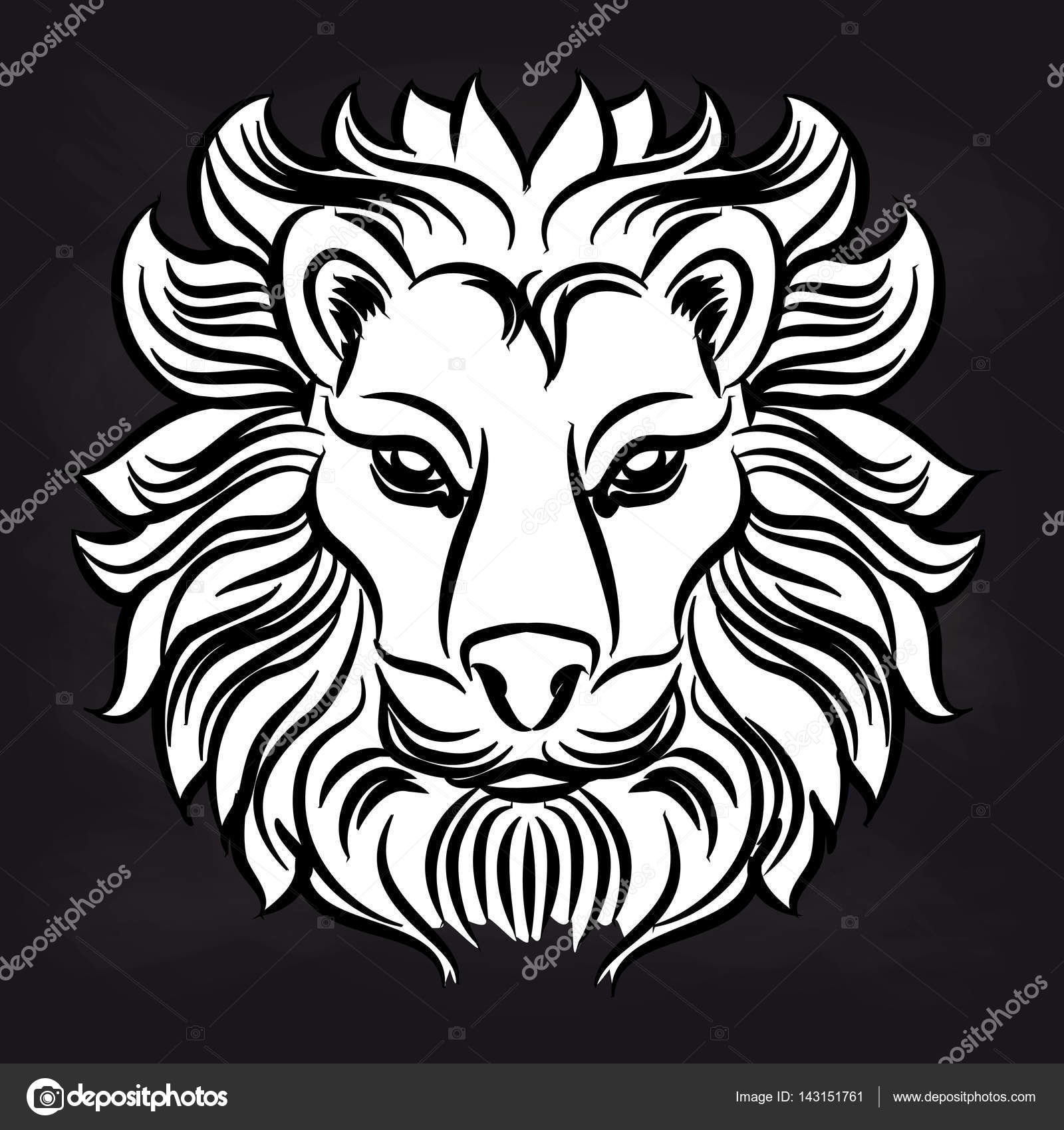 Immagini Leone Bianco Testa Di Leone Bianco Sulla Lavagna