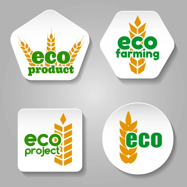 Conjunto de logotipo de produto de grão Eco — Vetor de Stock