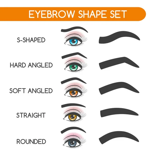 Ensemble de formes de sourcils femmes — Image vectorielle