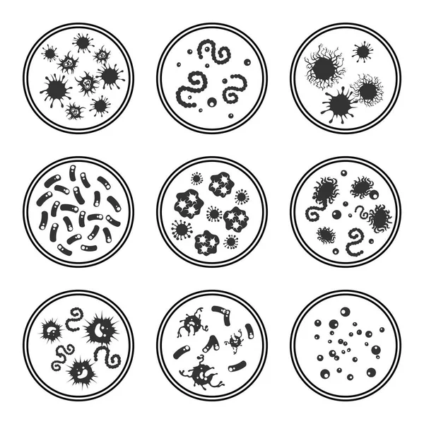 Virus de Phatogen en la placa de Petri — Vector de stock