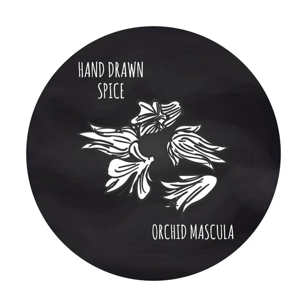 黑板上的香料兰花 mascula 图标 — 图库矢量图片