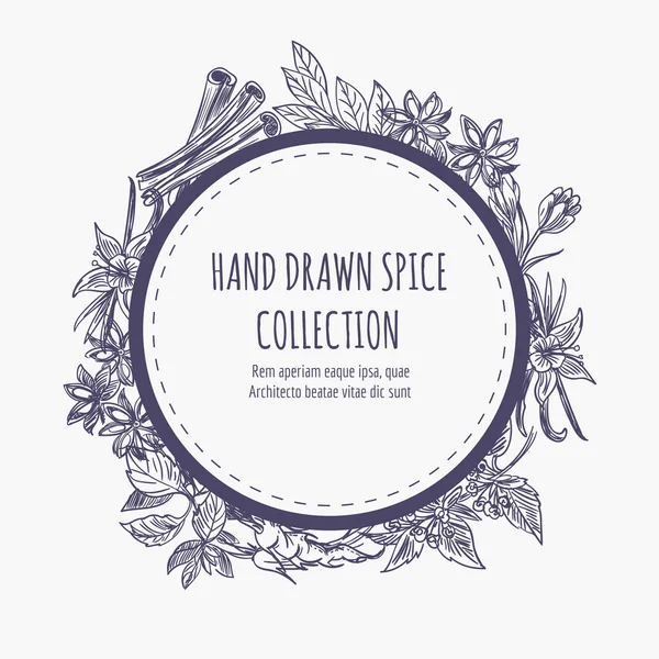 Spice collection round frame design — Stock Vector