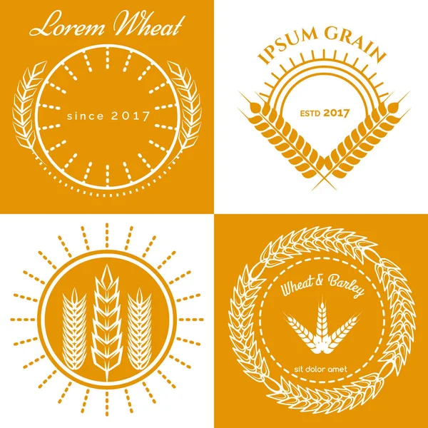 Collezione di grano orecchie concept logo design — Vettoriale Stock