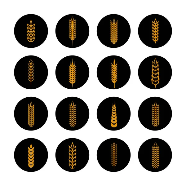 Orejas de grano dorado en rondas negras — Vector de stock