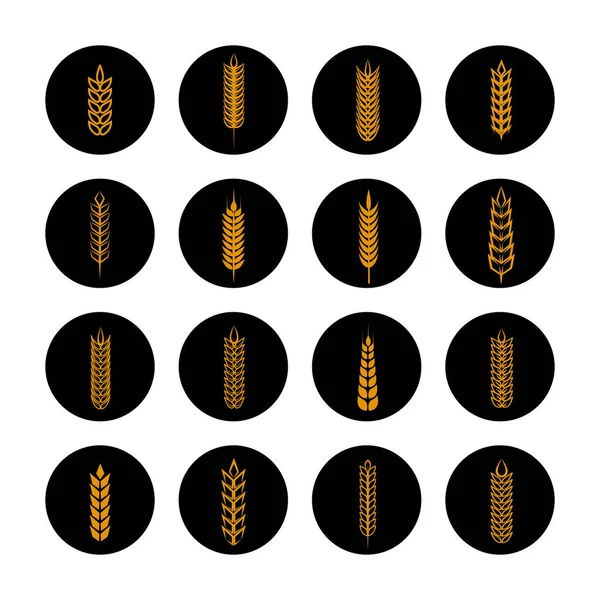 Golden grain ears on black rounds — Stock Vector