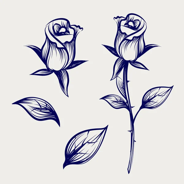 Croquis rose fleur, bourgeon et feuilles — Image vectorielle