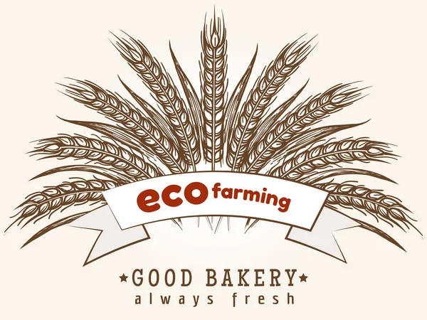 Eco emblema agrícola com espigas de trigo — Vetor de Stock