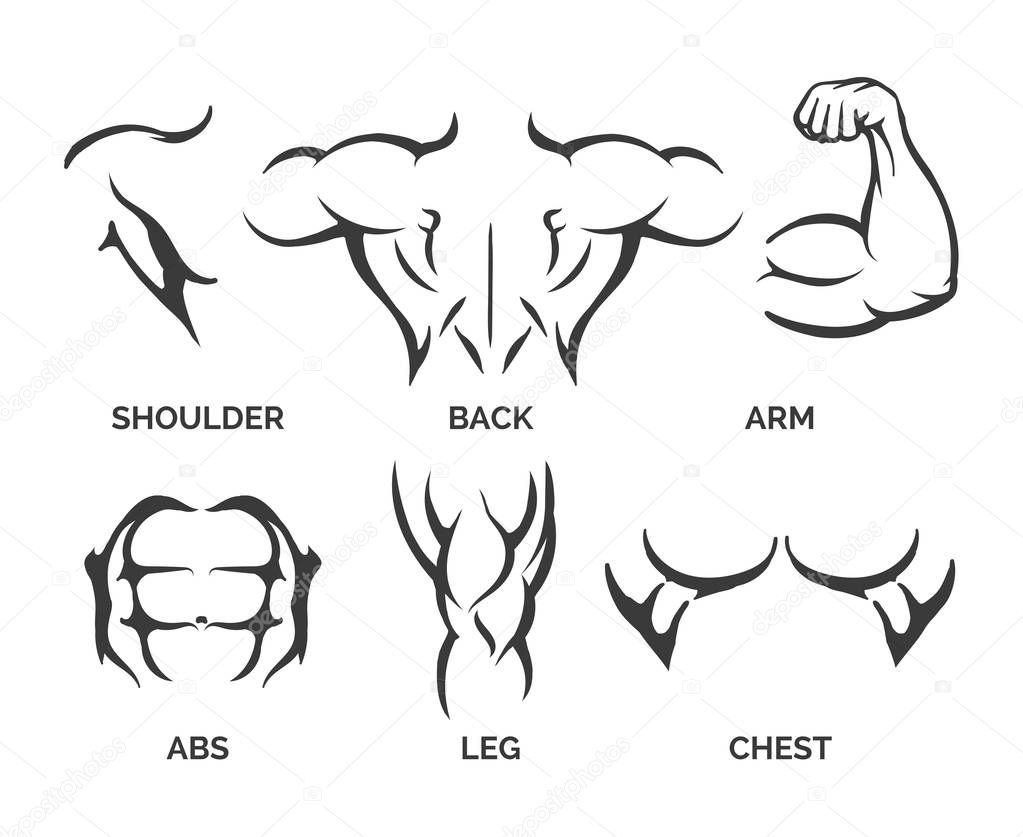 Bodybuilder body parts icons