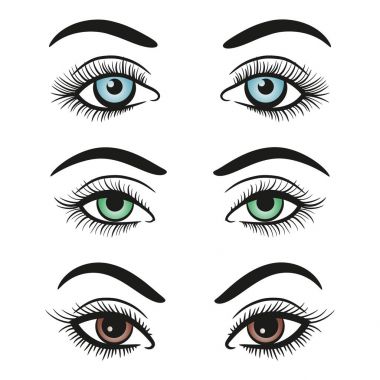 Kadın gözleri ve kaşları temel renkleri