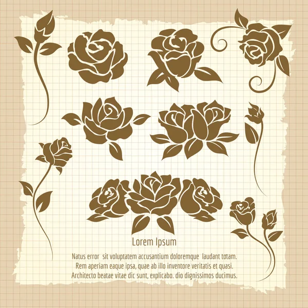 Cartel vintage con flores de rosas — Vector de stock