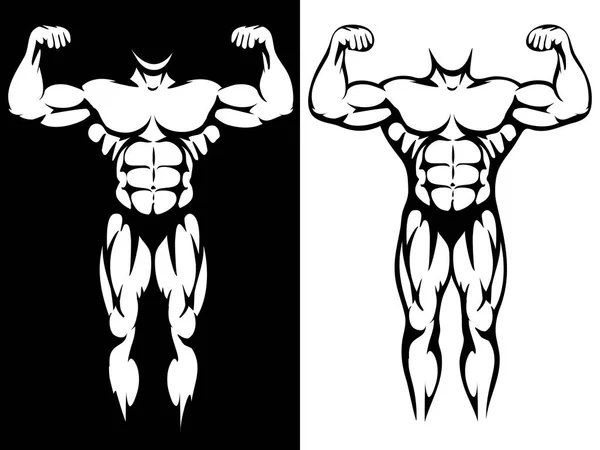Male athletic body and muscules silhouettes — Stock Vector