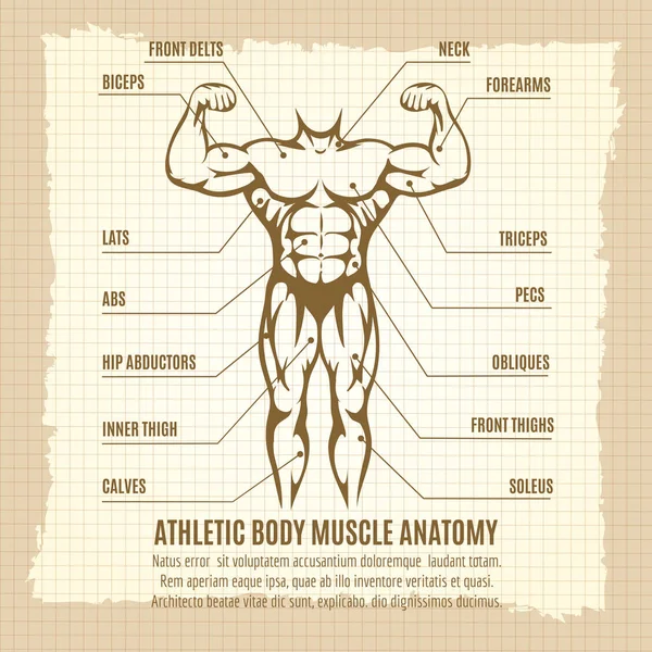 Винтажный плакат с атлетической инфографикой тела — стоковый вектор