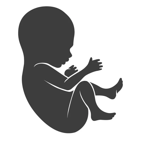 Human fetus icon — Stock Vector