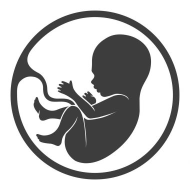 Plasenta siluet ile doğum öncesi insan çocuk