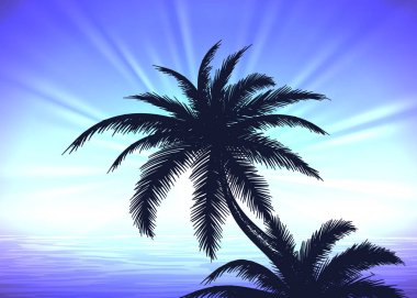 Mavi gündoğumu arka plan üzerinde palmiye ağacı