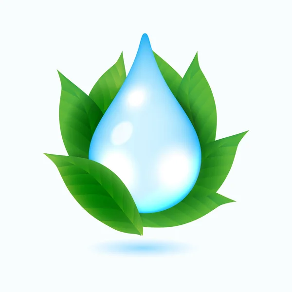 Gota de agua y hojas verdes — Archivo Imágenes Vectoriales