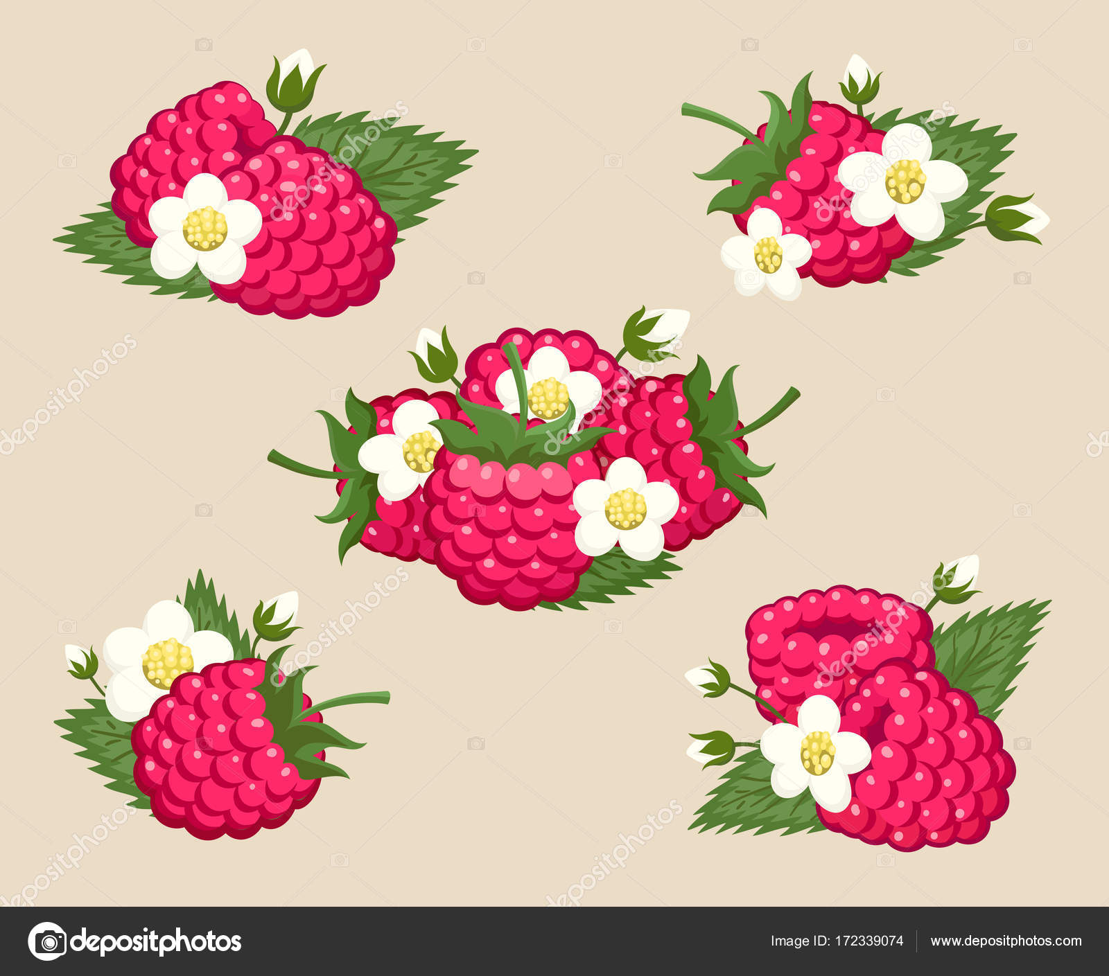 すべての美しい花の画像 75 ラズベリー 花 すべての美しい花の画像 75 ラズベリー 花