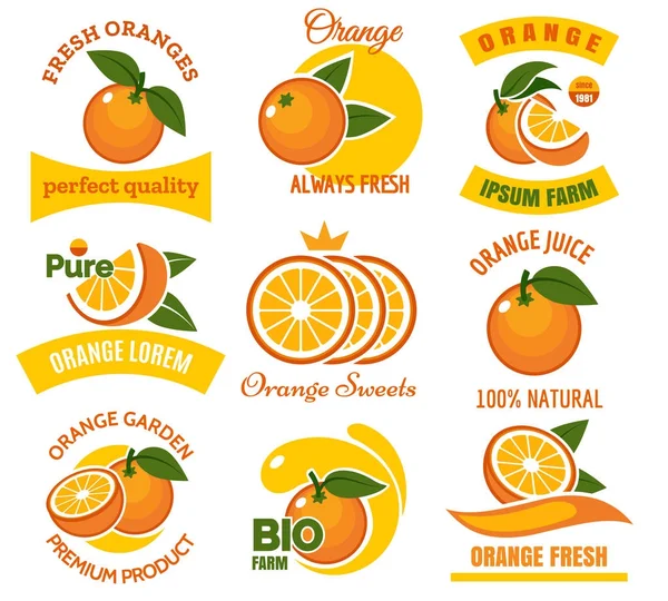 Oranje producten emblemen set — Stockvector