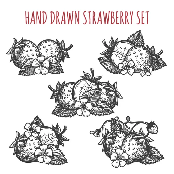 Strawberry sketch icons set — Stock Vector