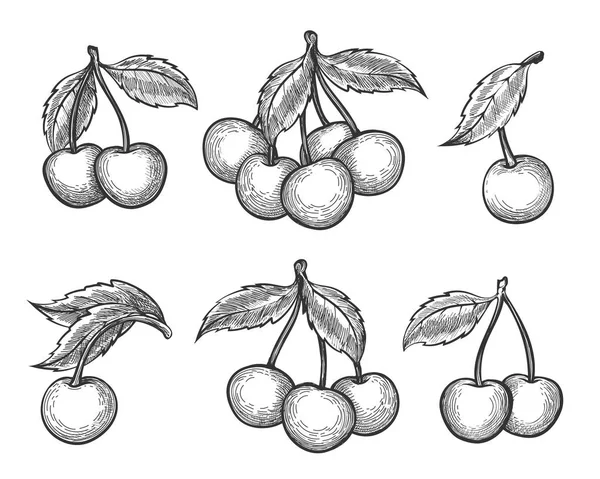 Kirsche Skizze Symbole gesetzt — Stockvektor