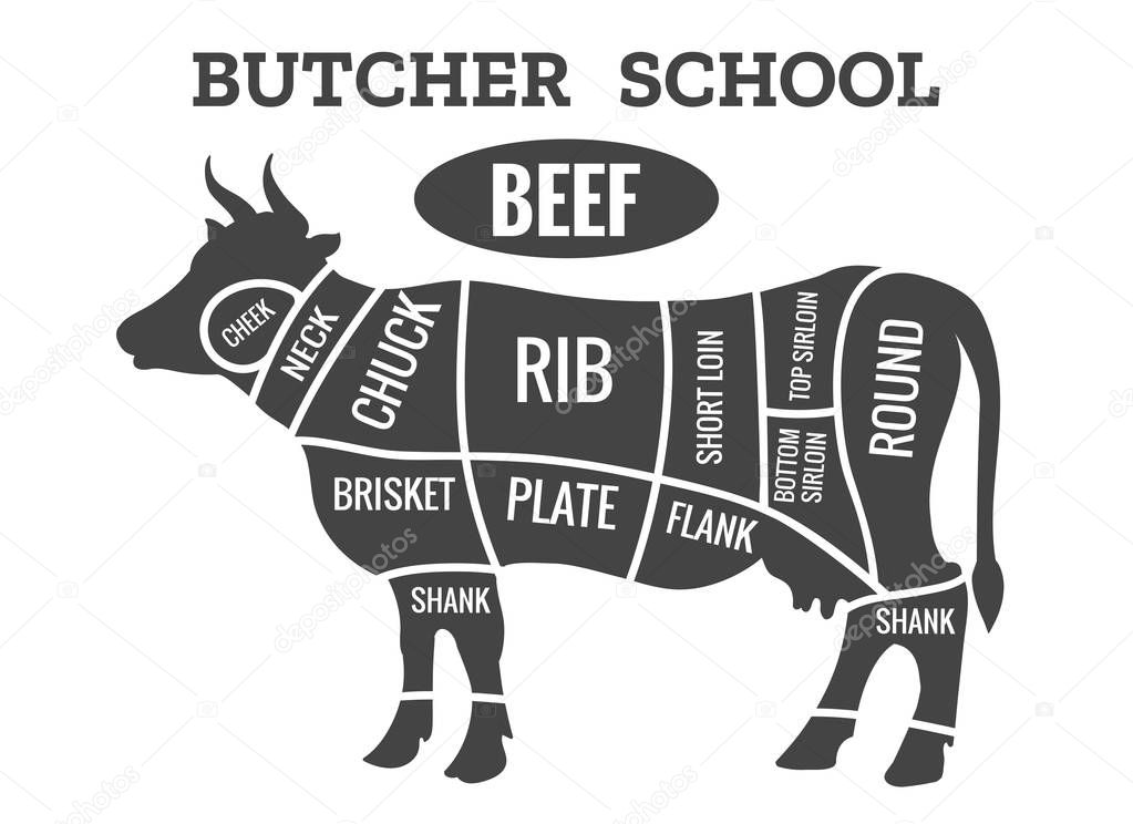 Cow butcher diagram