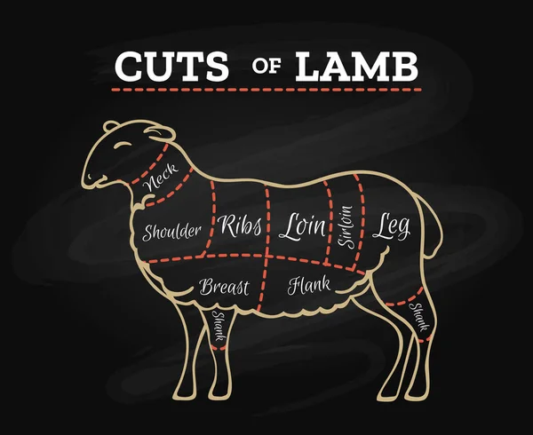 Schema della lavagna del macellaio dell'agnello — Vettoriale Stock