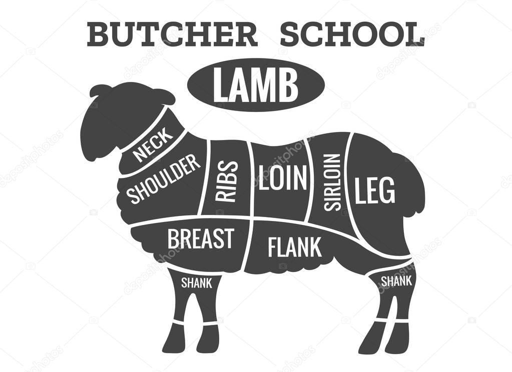 Lamb cutting guide for butcher shop