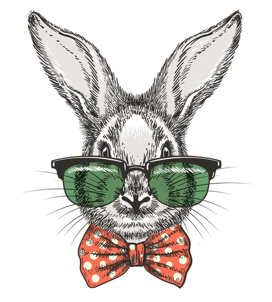 Rabbit in glasses sketch portrait — Stock Vector