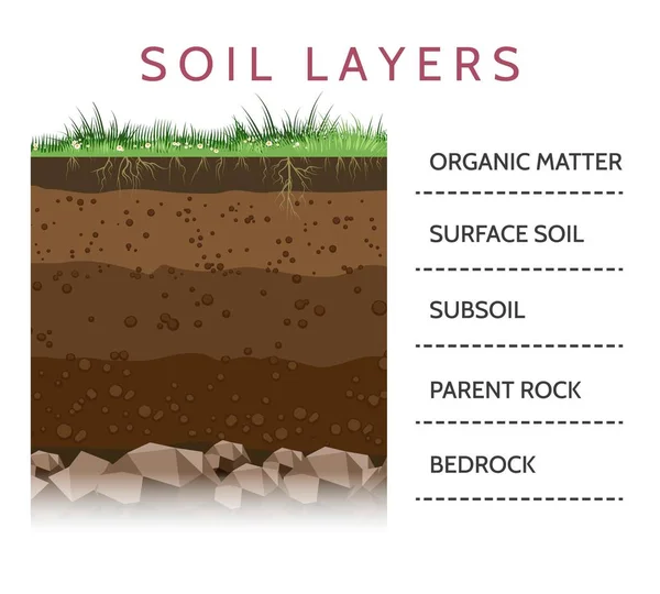 Схема слоя почвы с травой — стоковый вектор