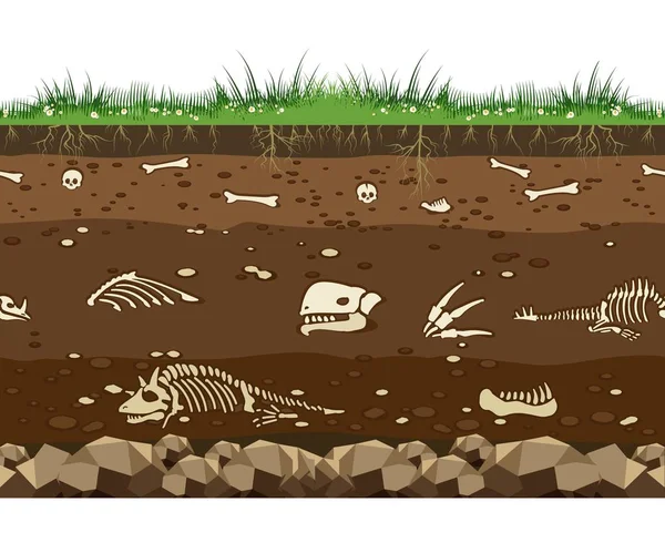 Soil with dinosaur bones — Stock Vector