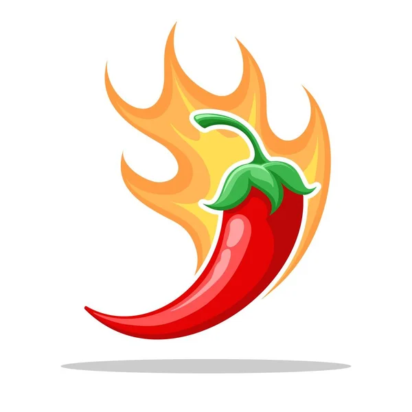 Hot spicy level with flame pepper. Infographic design template with red