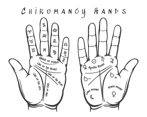 Chiromancy mani illustrazione — Vettoriale Stock