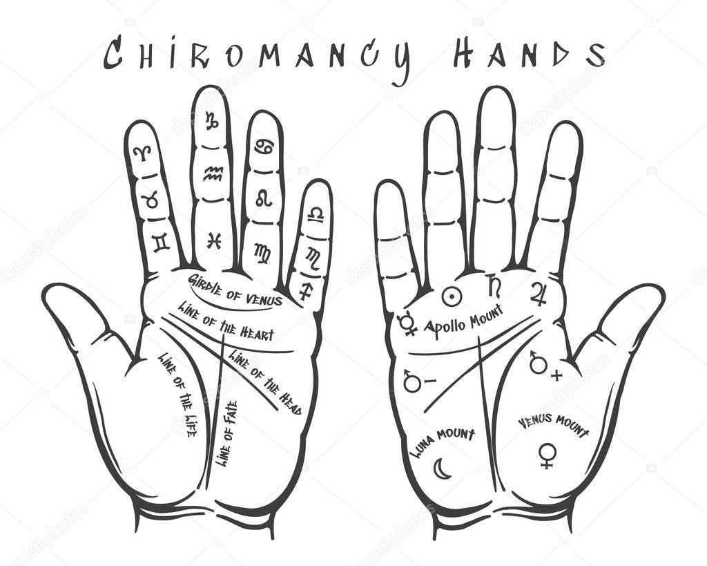 Chiromancy hands illustration