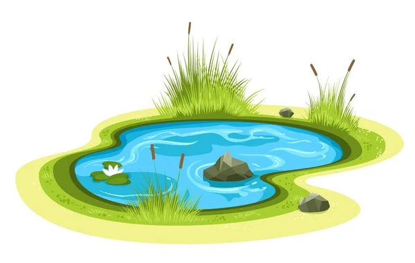Kreslený zahradní rybník — Stockový vektor