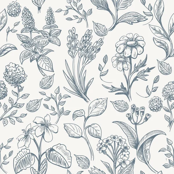 Herbs sketch seamless pattern — 스톡 벡터