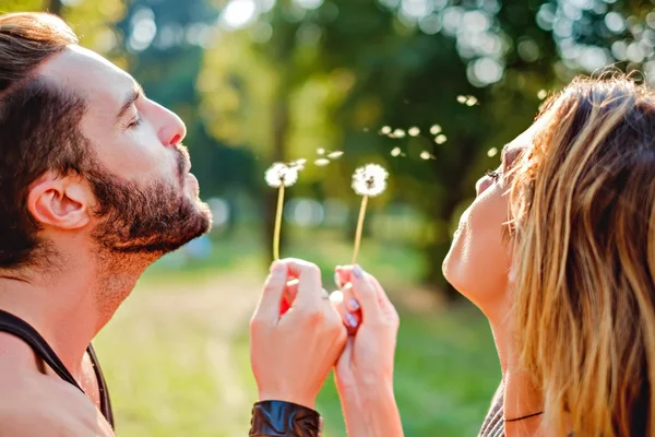 Casal na natureza soprando dente-de-leão — Fotografia de Stock