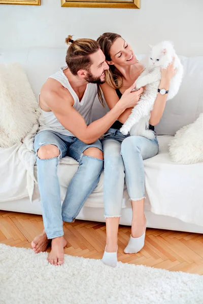 Pareja jugando con su blanco persa gato — Foto de Stock