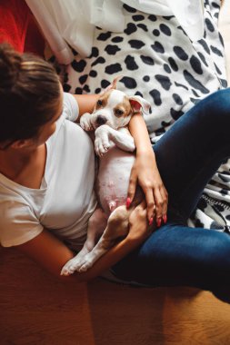 Basılı tutup yerde otururken oynak köpek yavrusu arıyorum kız
