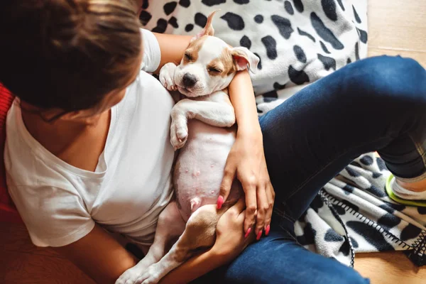 Chica Sosteniendo Mirando Cachorro Soñoliento Mientras Está Sentado Suelo — Foto de Stock