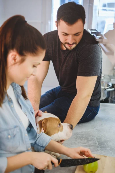 Homem de estimação cão na cozinha, enquanto namorada de corte de maçã — Fotografia de Stock