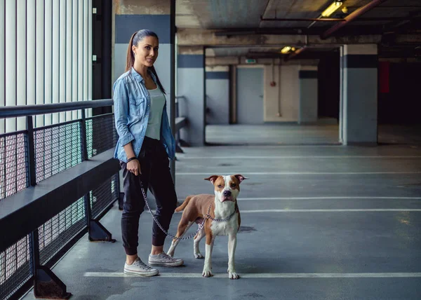 Chica sosteniendo amstaff perro en una cadena en un garaje — Foto de Stock