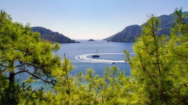 Çam dallarının arasından deniz koyunu manzarası. Marmaris bölgesinde deniz manzarası.
