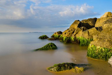Taşların üzerinde yosun. Sakin bir sabah denizi. Uzun pozlama çekimi.