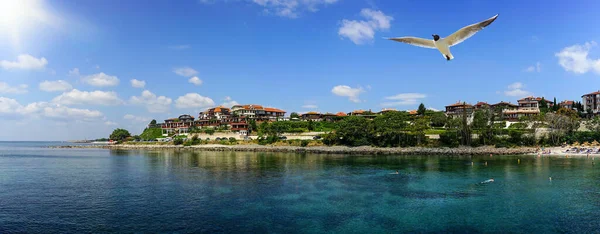 Orilla Del Casco Antiguo Nessebar Vista Panorámica Gaviota Voladora Sobre —  Fotos de Stock