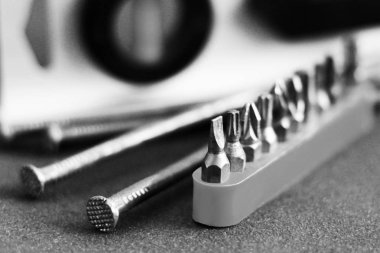 birçok tornavida başkanı yazın portre