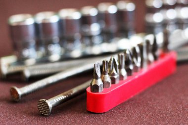 birçok tornavida başkanı yazın portre