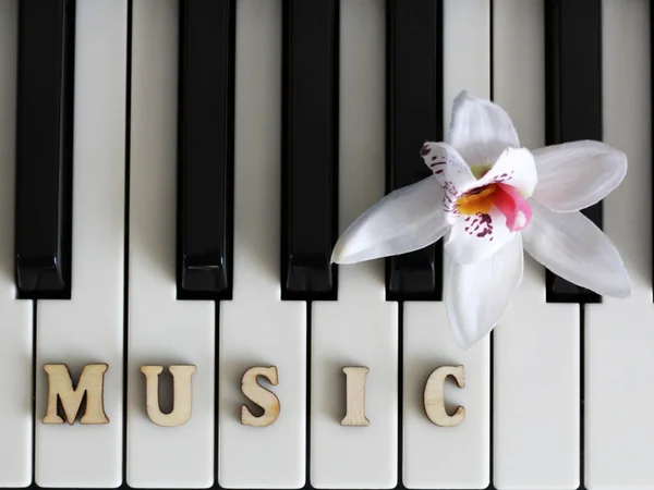 Клавиши фортепиано крупным планом с музыкой букв — стоковое фото