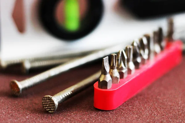 birçok tornavida başkanı yazın portre