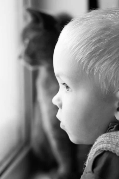 Een triest kleine jongen en een grijze kat kijkt uit het raam — Stockfoto